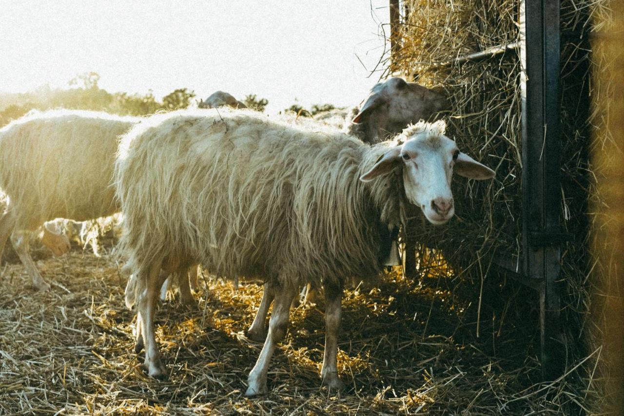 קפאלביו Agriturismo Vallerana מראה חיצוני תמונה